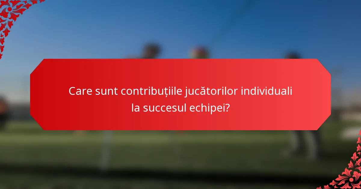 Care sunt contribuțiile jucătorilor individuali la succesul echipei?
